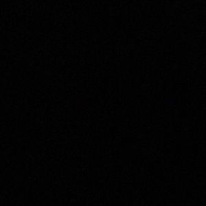 Meet your Posher, Lilly